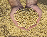 OA-iS-16546257-soybean-harvest.jpg